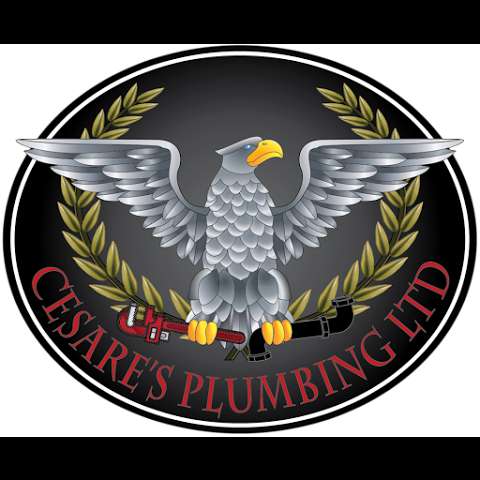 Cesare's Plumbing Ltd.